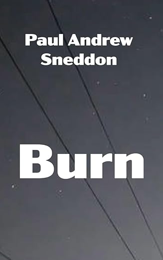Burn by Paul Andrew Sneddon — book cover